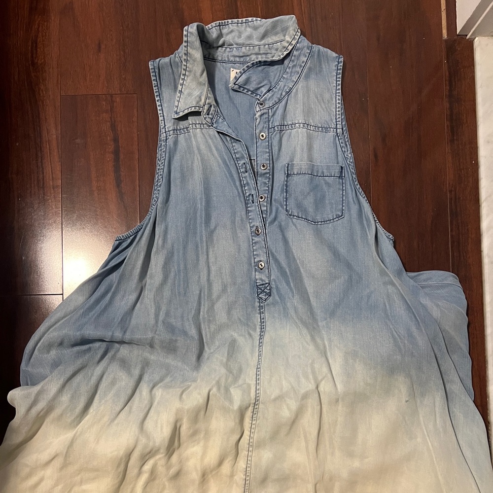 Holding Horses Chambray Dress Size: L